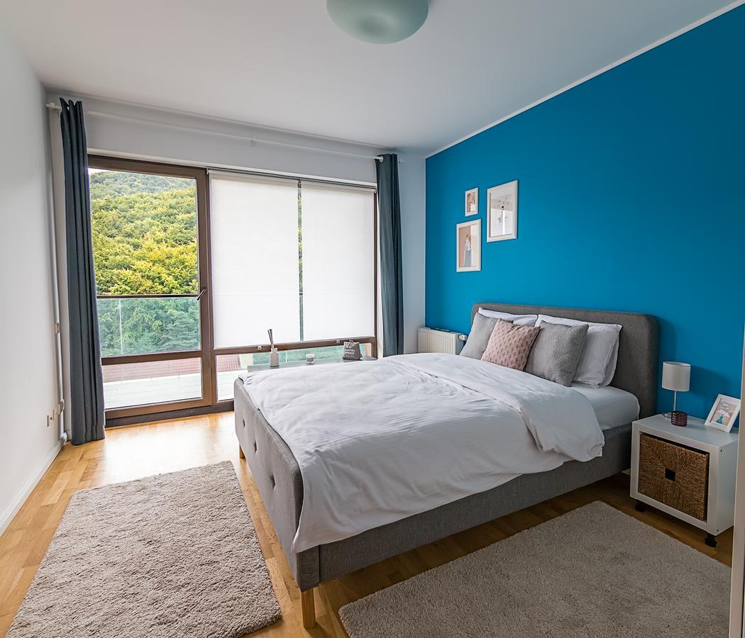 Tampa Gardens - Mountain View Apartment Μπρασόβ Εξωτερικό φωτογραφία